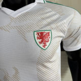 2026/27 Wales Away White Player Version Soccer Jersey