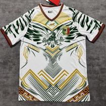 2026/27 Mali White Fans Soccer Jersey