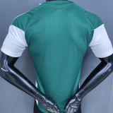 2026/27 Italy Special Edition Green Player Version Soccer Jersey