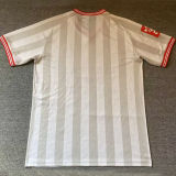 2026 Chivas Special Edition Fans Soccer Jersey