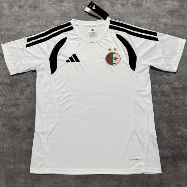 2026/27 Algeria Special Edition Fans Soccer Jersey