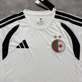 2026/27 Algeria Special Edition Fans Soccer Jersey