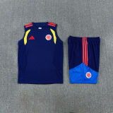 2026/27 Colombia Baby Blue Vest Training Jersey (A Set)