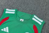 2026/27 Algeria Green Vest Training Jersey (A Set)