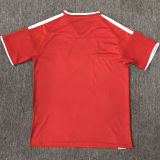 2026/27 Wales Special Edition Fans Soccer Jersey