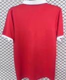 2026/27 Wales 150TH Anniversary Edition Fans Soccer Jersey