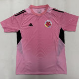 2026/27 Colombia Pink Goalkeeper Fans Soccer Jersey