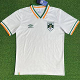 2026/27 Ireland Commemorative Edition White Fans Soccer Jersey