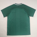 2026 FC Palestine Retro Fans Soccer Jersey