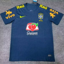 2026/27 Brazil Special Edition Fans Soccer Jersey