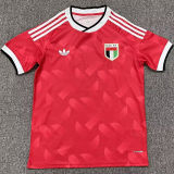 2026/27 UAE Away Red Fans Soccer Jersey 阿联酋