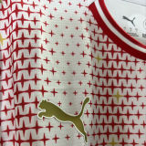 2026 PSV Special Edition Fans Soccer Jersey