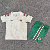 2026/27 Wales Away Kids Soccer Jersey