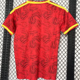 2026/27 Colombia Special Edition Fans Soccer Jersey