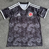 2026/27 Colombia Special Edition Fans Soccer Jersey