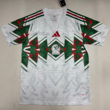 2026/27 Mexico Special Edition Fans Soccer Jersey