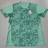 2026/27 Palmeiras Fans Soccer Jersey