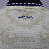 2026/27 Argentina Special Edition Player Version Soccer Jersey