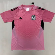 2026/27 Mexico Goalkeeper Pink Fans Soccer Jersey