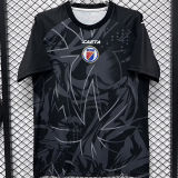 2026/27 Haiti Special Edition Fans Soccer Jersey 海地
