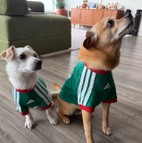2026/27 Mexico home pet jersey