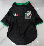2026/27 Mexico Third  pet  jersey