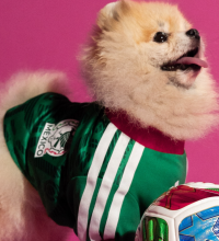 2026/27 Mexico home pet jersey