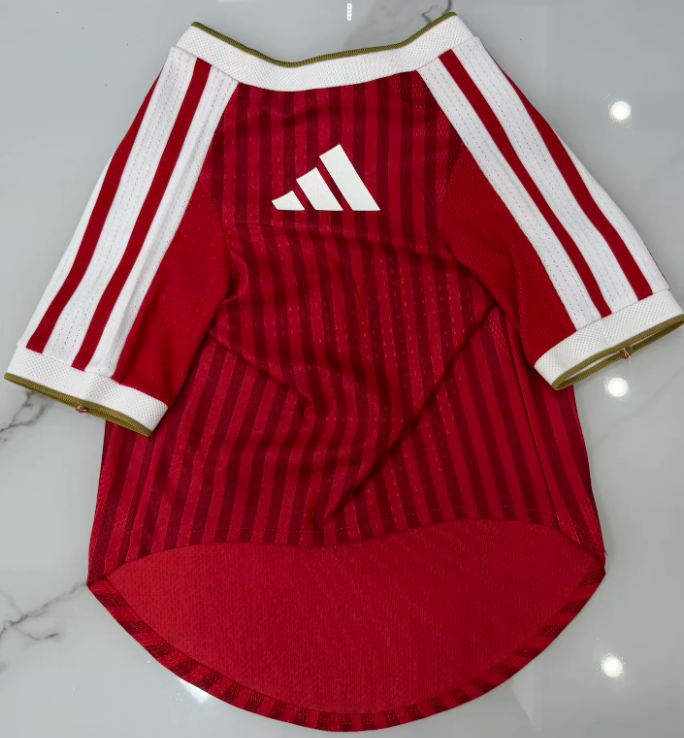 Bayern Múnich Camiseta para Mascota 2026/27 (Roja) 2