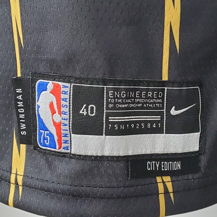 Fred VanVleet Toronto Raptors 2022 City Edition Swingman Jersey Black Gold