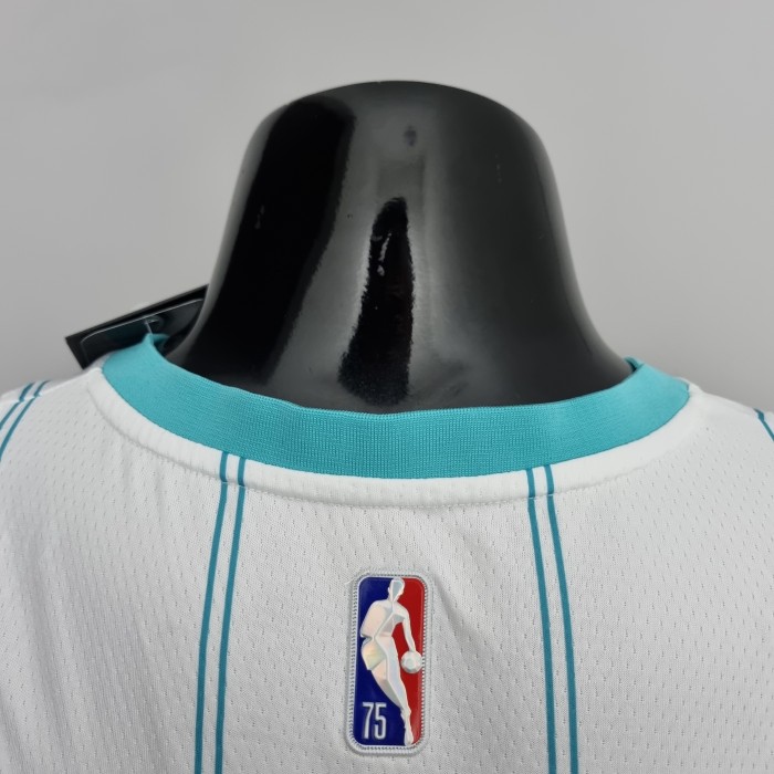 Gordon Hayward Charlotte Hornets 75th Anniversary Swingman Jersey White