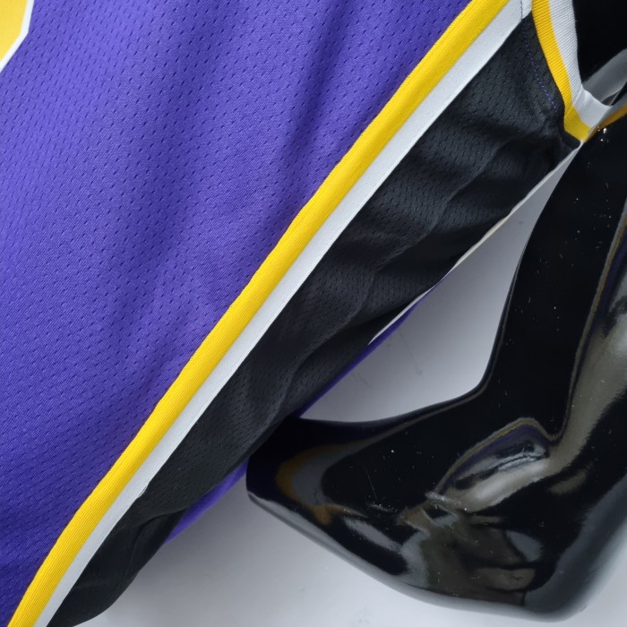 LeBron James Los Angeles Lakers 75th Anniversary Swingman Jersey Purple