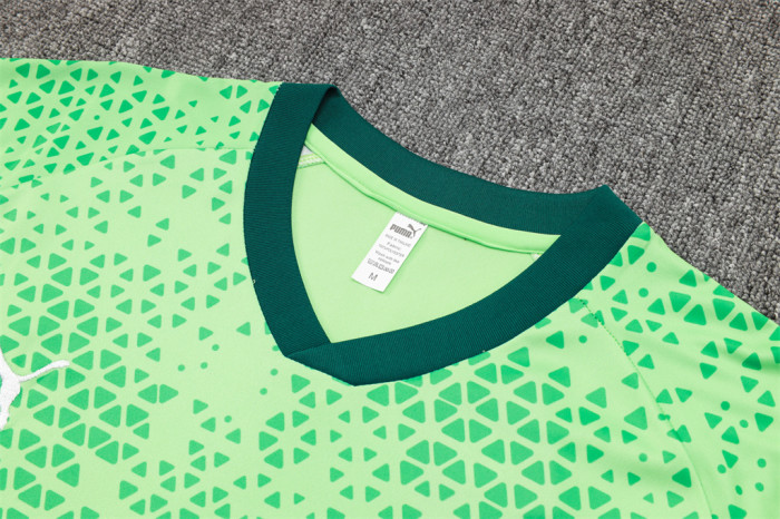 Palmeiras Training Short Sleeve Jersey 24/25