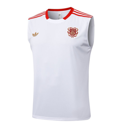 Bayern Munich Training Jersey 25/26