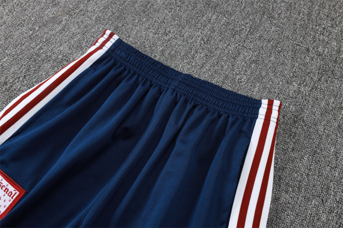 Arsenal Training Jersey Suit 25/26