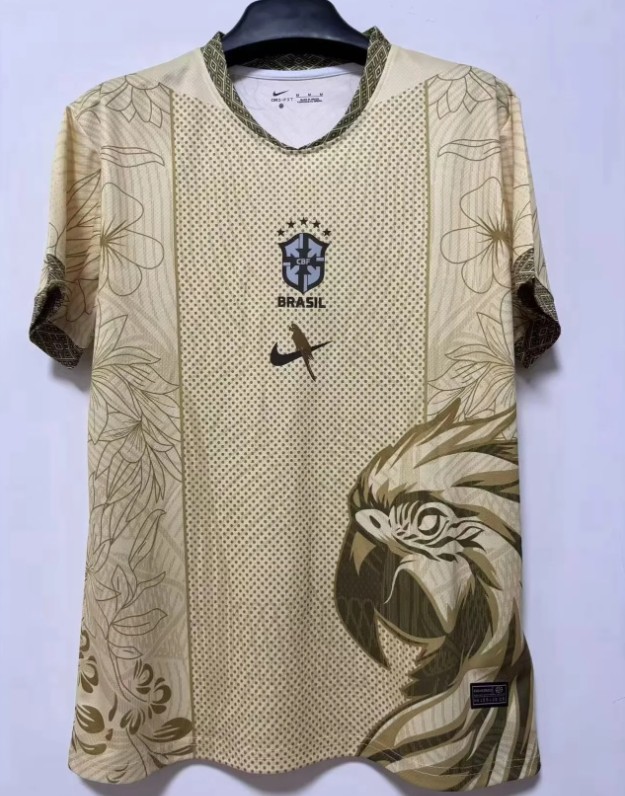 Brazil Special Man Jersey 2025