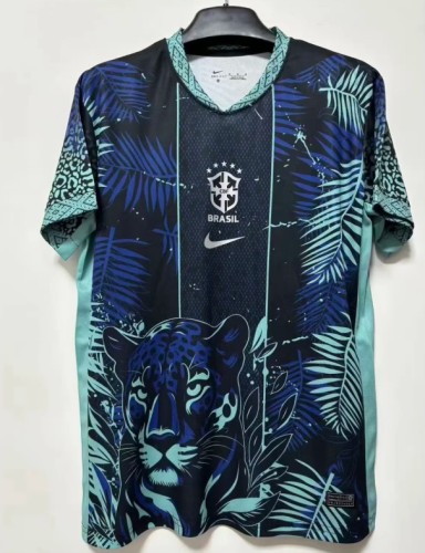 Brazil Special Man Jersey 2025