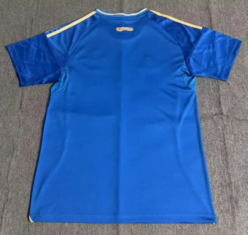Cruzeiro Esporte Third Man Jersey 25/26