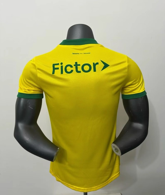 Palmeiras Third Man Jersey Player version 25/26