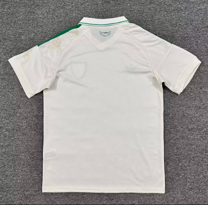 Wales 2026 World Cup Away Men Jersey