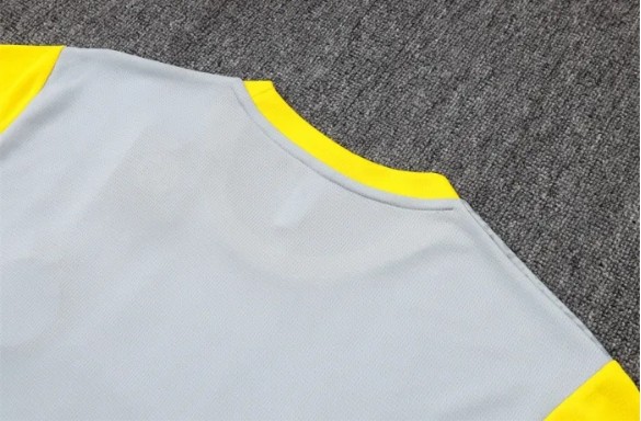 Borussia Dortmund Training Short sleeve Suit 25/26