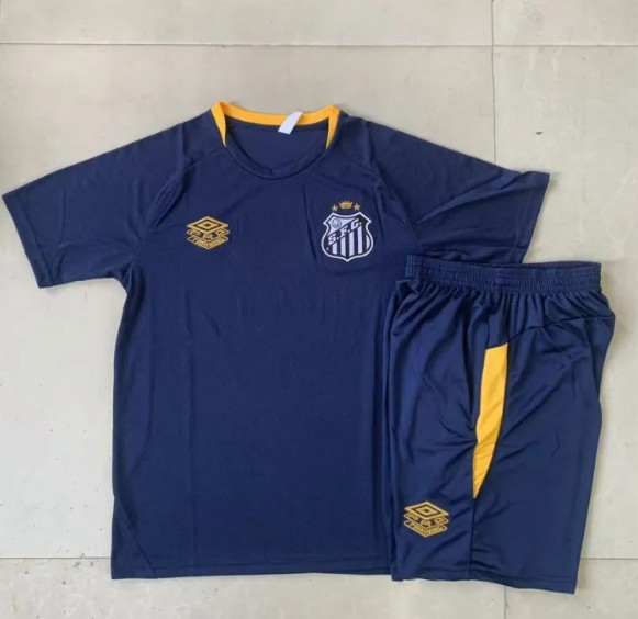 Santos Training Short sleeve Jersey 25/26