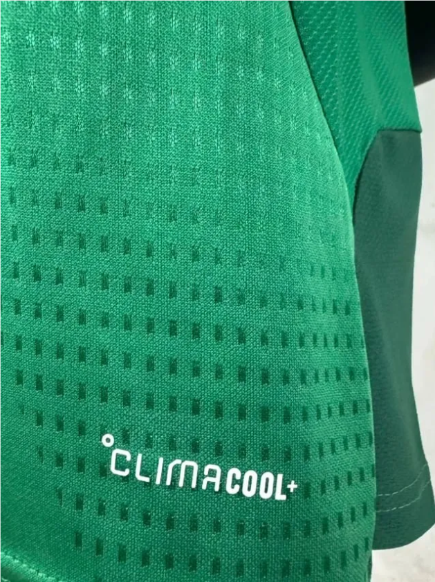 Mexico 2026 Player Green Training Men Jersey