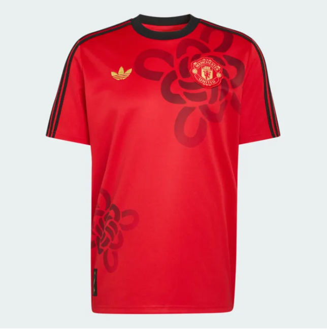 Manchester United Cultural Story Men Jersey 25/26