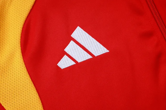 Germany Training Jacket 26/27