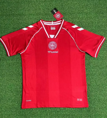 Denmark Euro 2026 Home Man Jersey