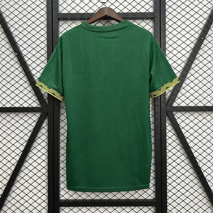 Mexico Gold Men Jersey 25/26 Green