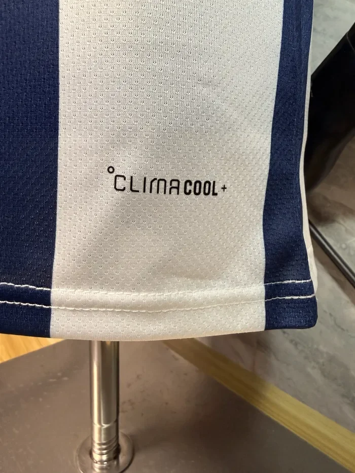 Scotland 2026 Special Edition Player Man Jersey