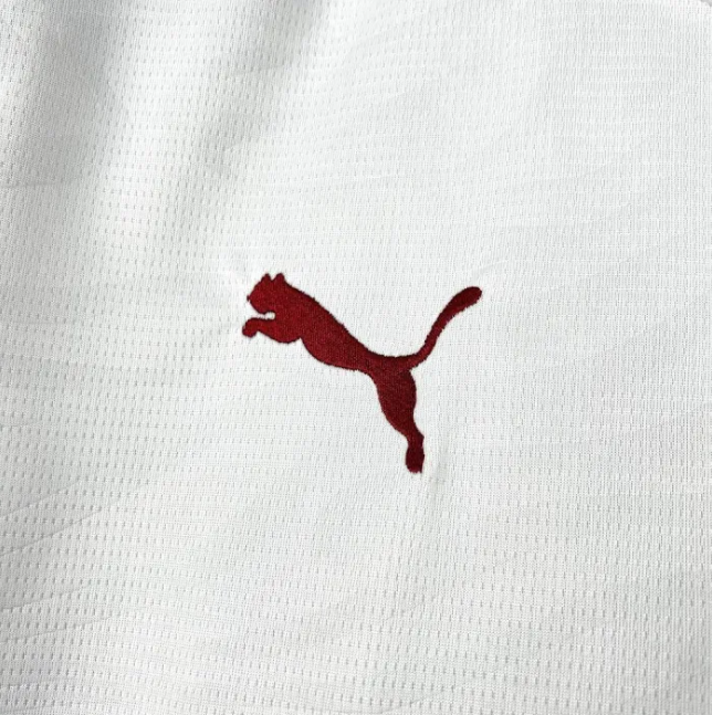 Copy Fluminense Home Man Jersey 26/27